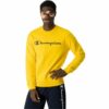 Men’s Sweatshirt without Hood Champion Crewneck - Image 4