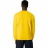 Men’s Sweatshirt without Hood Champion Crewneck - Image 3